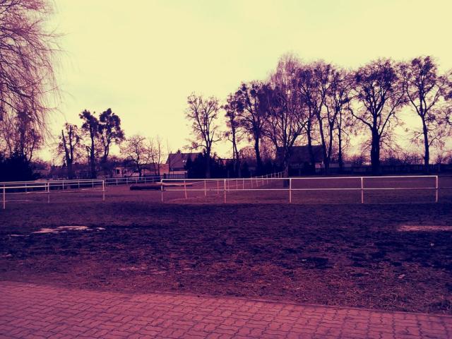 Wpis kozazaxd