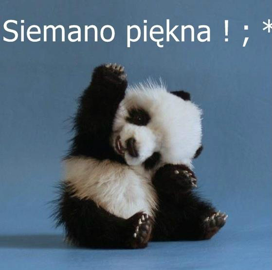 Hehee Siemka :**