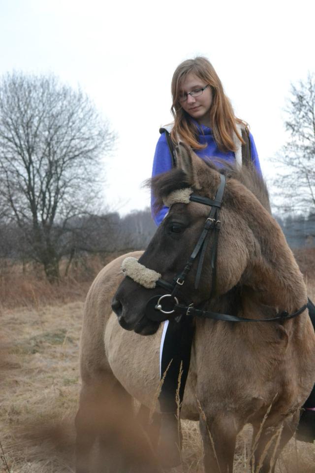 Wpis horse100200