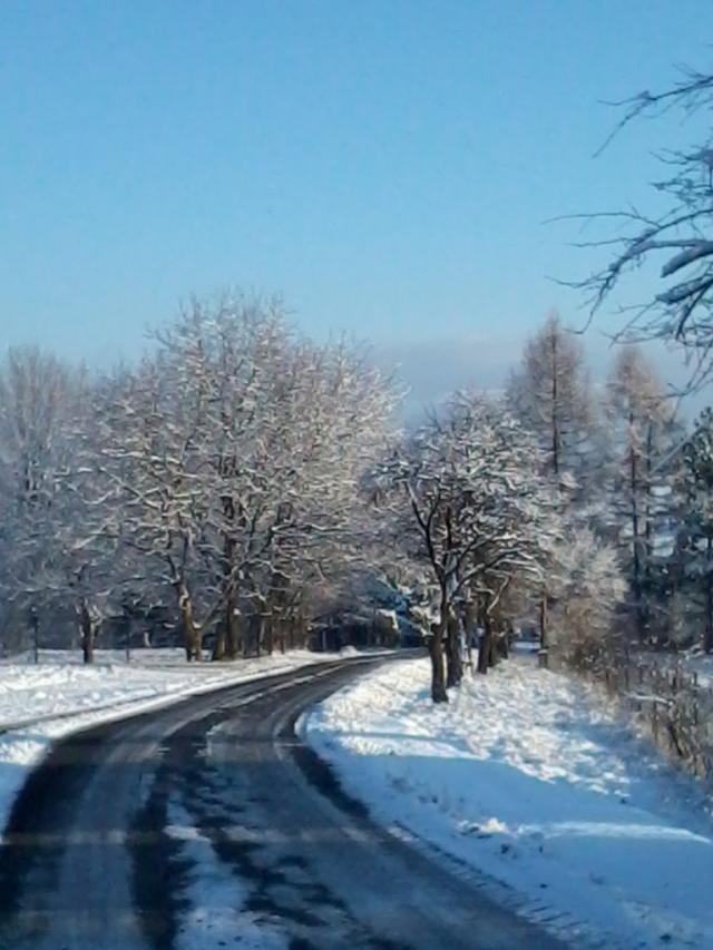 Wpis babeczkajagodowa