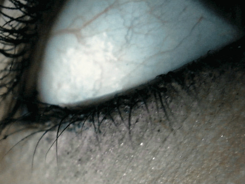 look in my eyes.