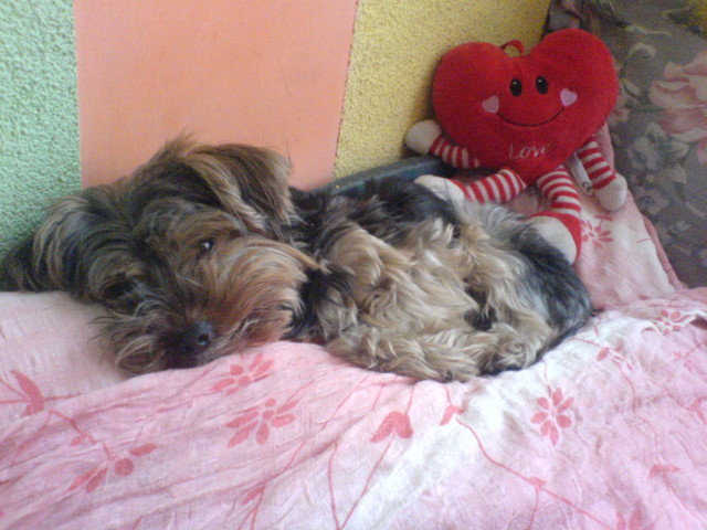 synu ;*