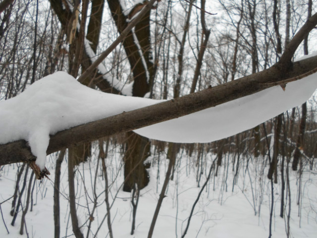 Wpis winterlife