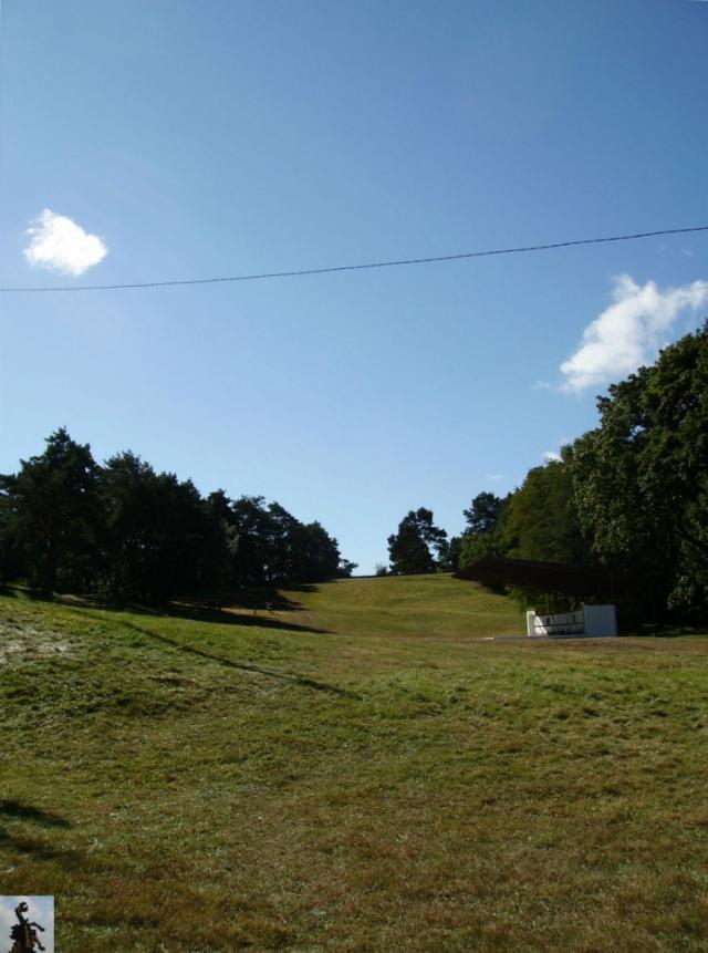 Woliski Trygaw