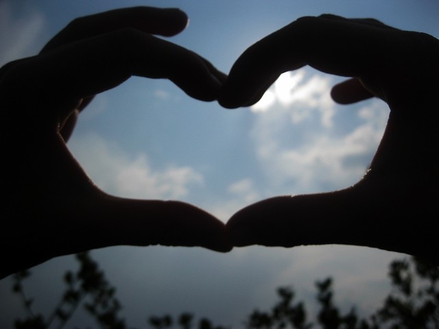 Wpis wexfoundxlovex33