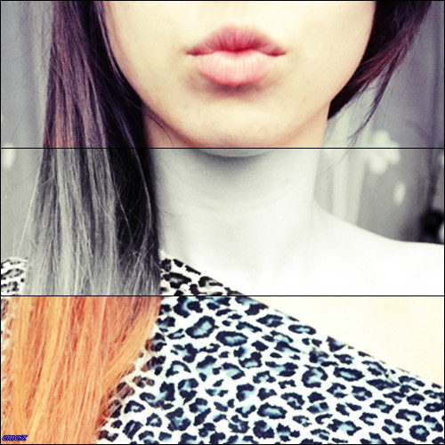 Wpis mouseee