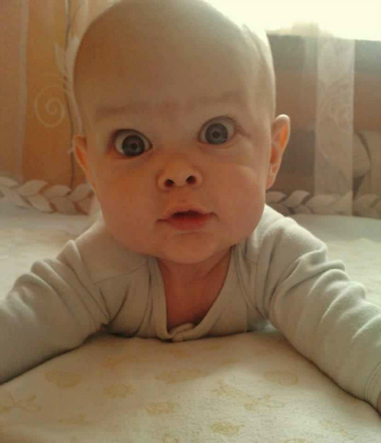 Alan ; D