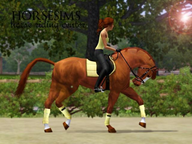 Wpis horsesims