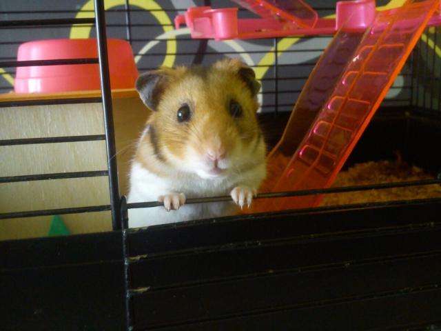 so sweet 