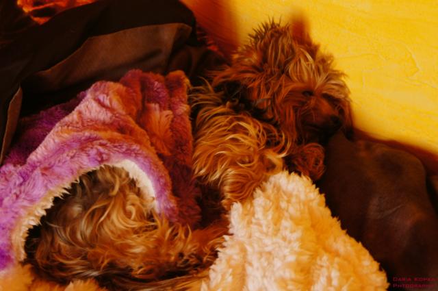 ^^Figa^^