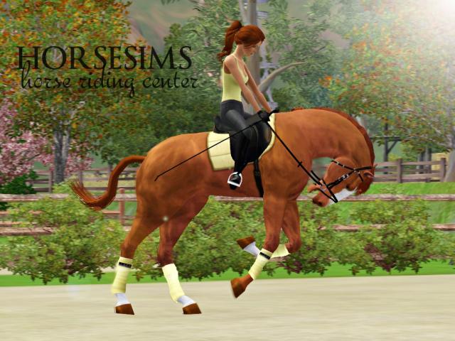 Wpis horsesims