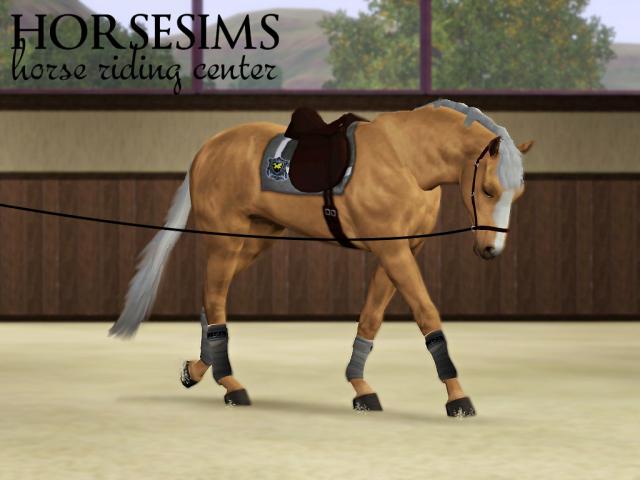 Wpis horsesims