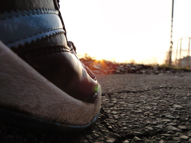 Dreams is a fiction
