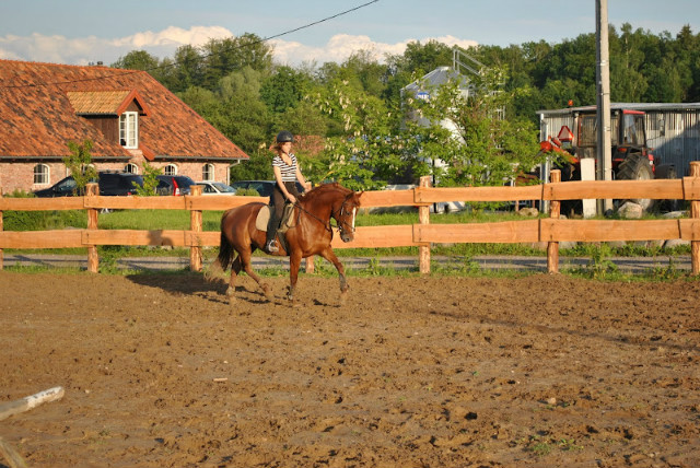 Melisa