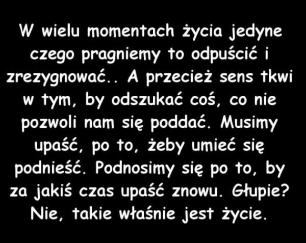 Wpis wonderfuldzejzi