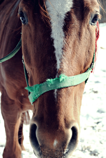 Basia :)