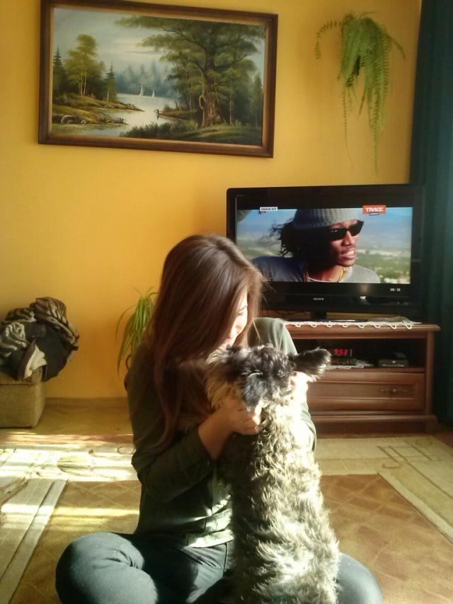 Arni xd