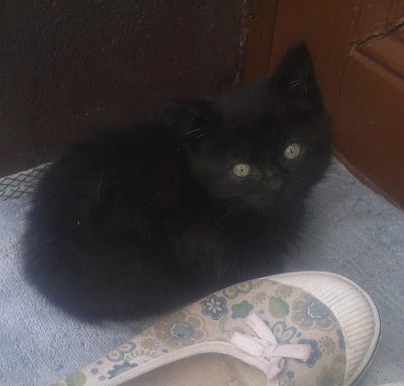 Gdzie ta wiosna?