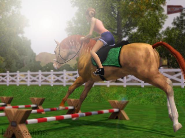 Wpis horsesims