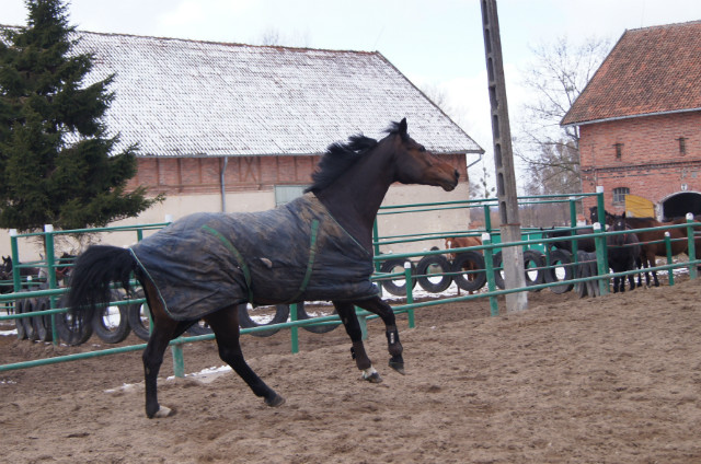 Ogieeer :)