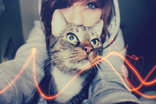 cat :*