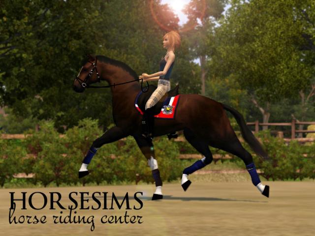 Wpis horsesims