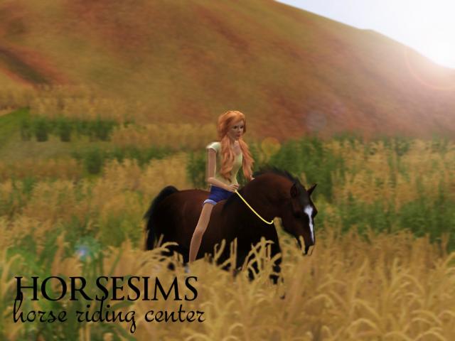 Wpis horsesims