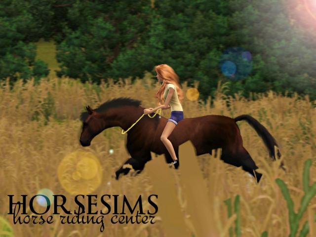 Wpis horsesims