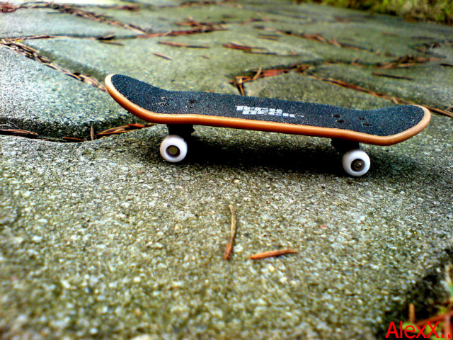 Fingerboard