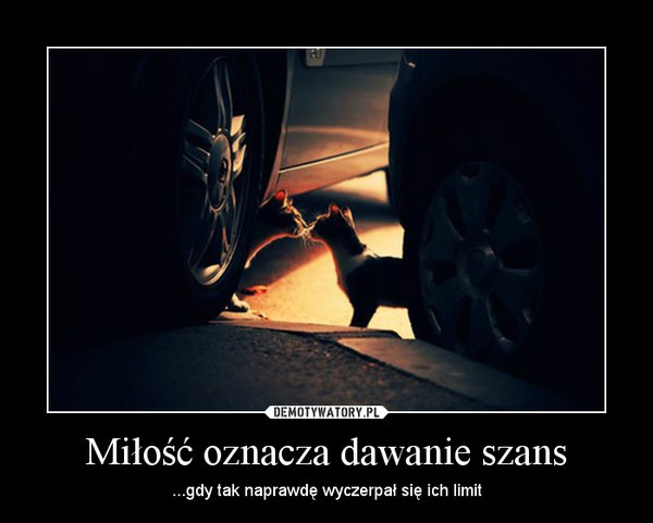 Wpis loczkowateee