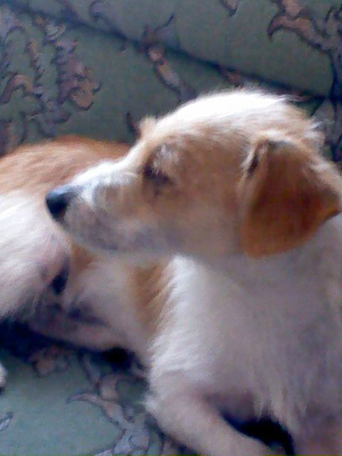 Wpis ruudzixx