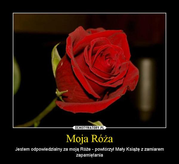Moja Ra