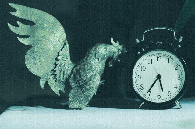 wake up