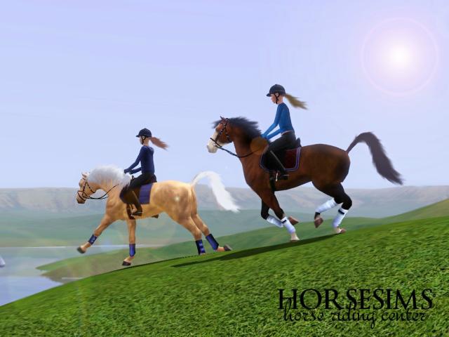 Wpis horsesims