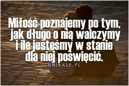 Wpis zxcvbhgn