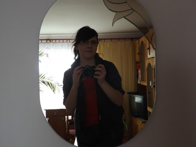 27.03.2013