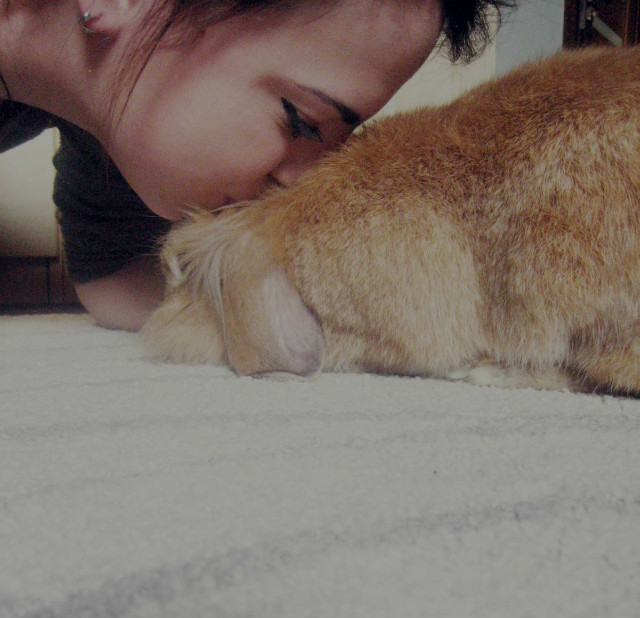 Wpis dagussss