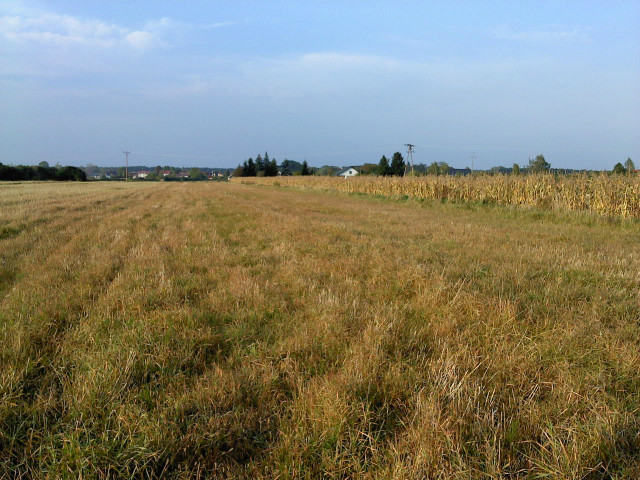 tskno . 