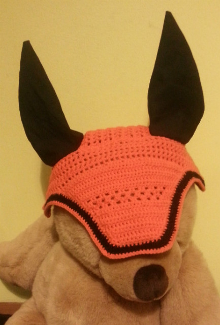 Wpis followyourhorse