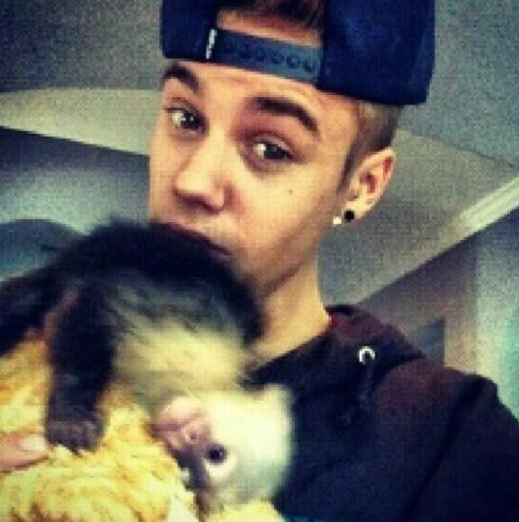 Wpis infobieber