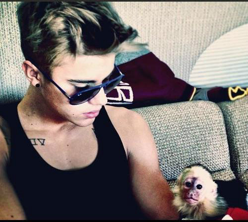 Wpis infobieber