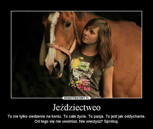 Jedziectwo