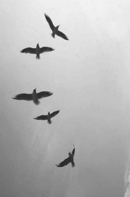 sky