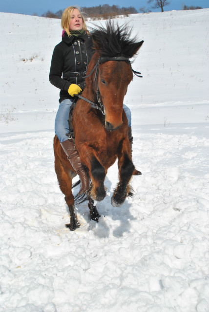 Wpis filipek123123
