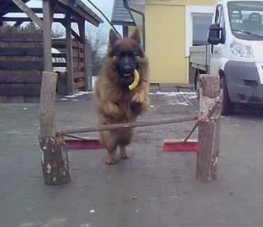 Nazirek