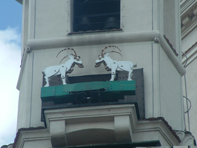 Wpis horse0808