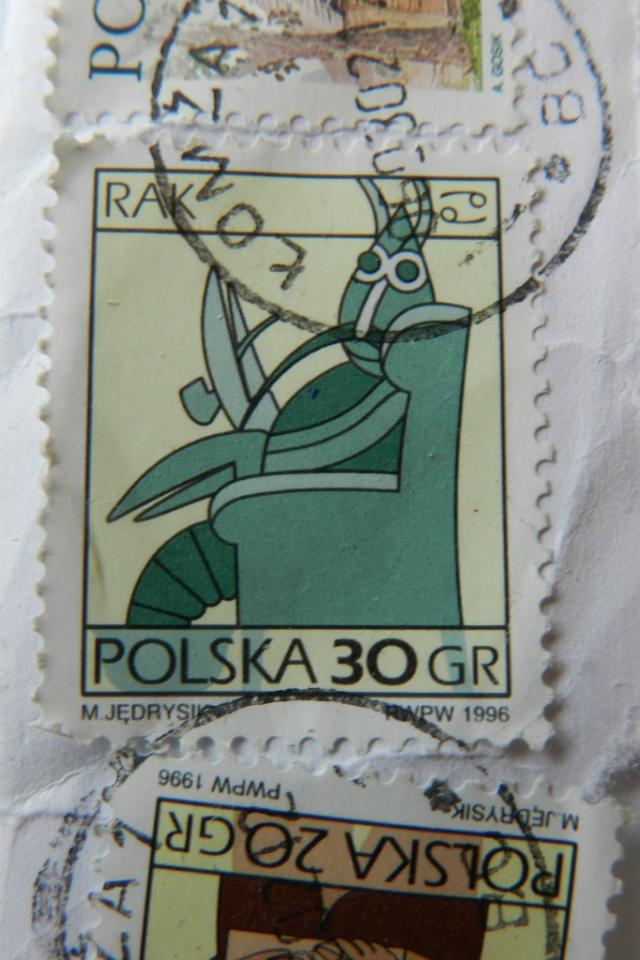 Rak - 0,30