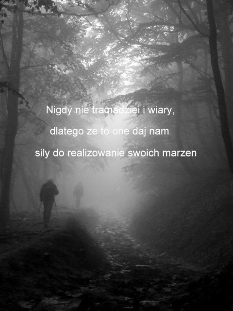 ;____; 