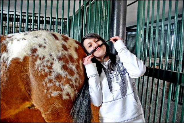 verythebesthorse