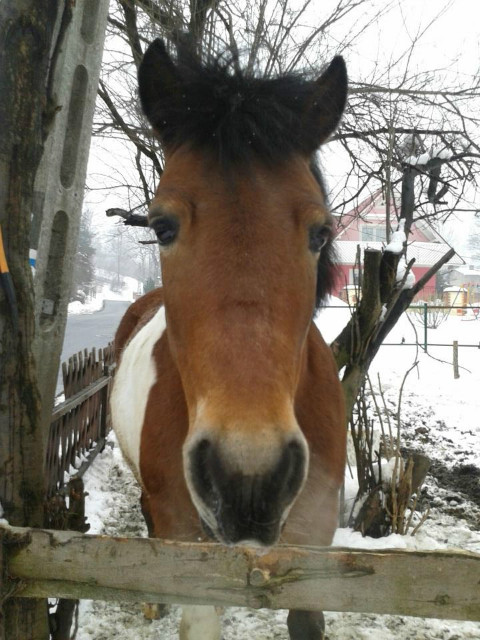 Misiek ^^ 